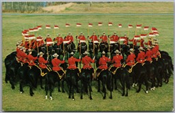 Postcard Brandon Manitoba RCMP Royal Canadian Mounted Police Musical Ride