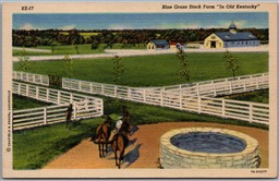 Postcard Old Kentucky c1937 Blue Grass Stock Farm Horse Racing