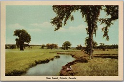 Postcard Forest Ontario c1950s Scenic View Creek 