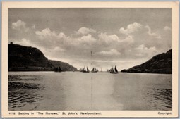 Postcard St. John’s Newfoundland The Narrows Sailing Boats Scenic View
