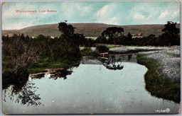 Postcard Cape Breton Island Nova Scotia c1906 Whycocomagh Scenic View