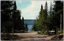 Postcard Deer Lake Newfoundland c1969 Scenic View