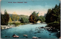 Postcard Rodney Ontario c1910s Scenic View Elgin County by Stedman Bros.