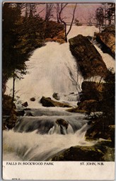 Postcard St. John New Brunswick c1908 Falls in Rockwood Park by Warwick