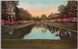 Postcard Charleston South Carolina Long Lake Middleton Place Gardens Albertype