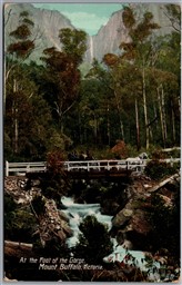 Postcard Victoria Australia c1910s Victoria Mount Buffalo Scneic View Gorge