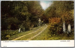 Postcard London Ontario c1907 A Shady Walk Alexandra Park by Warwick