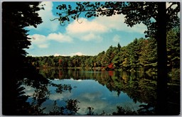 Postcard Windsor New York East Shore Sky Lake of Wyoming Conference Scenic View