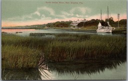 Postcard New Smyrna Florida North Indian River Scenic View Volusia County