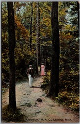 Postcard Lansing Michigan Agricultural College Arboretum M.A.C. Scenic View