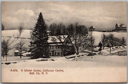 Postcard Callicoon Centre New York c1908 A Winter Scene Sullivan County