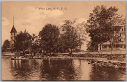 Postcard North White Lake New York 1910s P.O. Scenic View Shoreline Sullivan Co.