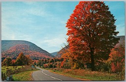 Postcard Catskill Mountains New York Autumn View Westkill Notch Route 42