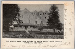 Postcard Ferndale New York c1907 Spring Lake Farm House Sullivan County