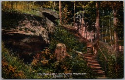 Postcard Liberty New York The Devil’s Den Walnut Mountain Sullivan County