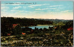 Postcard Liberty New York Looking Lake Ophelia Scenic View Sullivan County