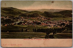 Postcard Livingston Manor New York Bird’s Eye View byH. L. Sprague Co.