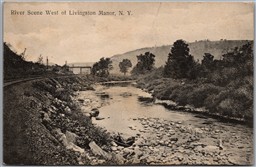 Postcard Livingston Manor New York c1918 River Scene West of Town