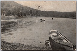 Postcard Livingston Manor New York 1907 Mountain Lake Cooks Falls Cancel