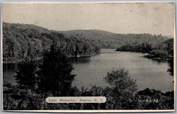 Postcard Roscoe New York Lake Muskaday Scenic View Sullivan County *as is*