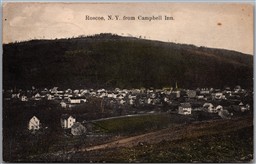 Postcard Roscoe New York c1908 View from Campbell Inn Sullivan Co. to Willowemoc