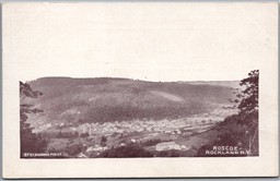 Postcard Roscoe - Rockland New York c1900s Scenic View by E. F. Branning UDB