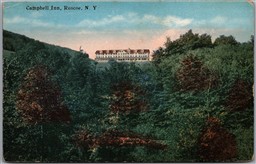 Postcard Roscoe New York The Campbell Inn Scenic View Sullivan County