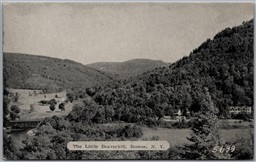 Postcard Roscoe New York 1910s TheLittle Beaverkill Sullivan County Dexter Press
