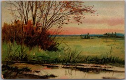 Postcard Nebraska c1912 Missent to Oakland Stamp to Lyons NEB
