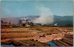 Postcard Scotia California Redwood Lumber Mill Humboldt County