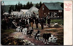 Postcard Skagway Alaska c1910s Dog Team Arriving Stores