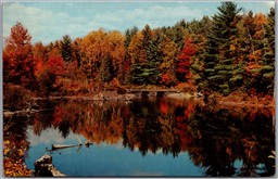 Postcard Arden Ontario c1962 Greetings from Camp Frontenac RR1 Scenic View