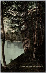 Postcard Vancouver British Columbia c1910s Scene from Stanley Park