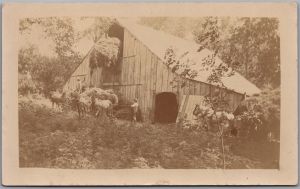 Postcard RPPC 1900s Farm Life "Fine Hay Shed Eh?" Barn Horses Agriculture 