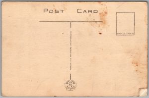 Postcard Muskoka Ontario Port Carling Business Section Old Cars by PECo (back)