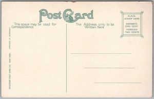 Postcard Fargo North Dakota c1910s Carnegie Library Cass County (back)