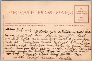 Postcard Brantford Ontario c1910s Collegiate Institute by Stedman Bros. (back)