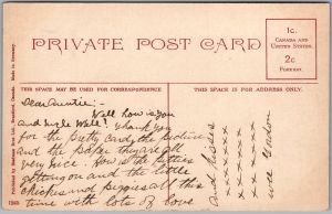 Postcard Brantford Ontario c1910s Rabbit Hunting Winter Scene by Stedman Bros. (back)