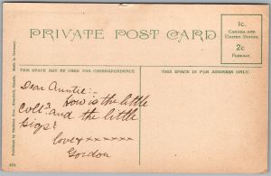 Postcard Brantford Ontario c1910s Mohawk Lake Canoeing Scenic View Stedman Bros. (back)