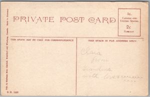 Postcard Brantford Ontario c1910s Pretty Scene River Scenic View by Stedman Bros (back)