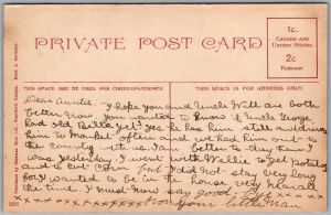 Postcard Brantford Ontario c1910s Mohawk Park Ferris Wheel by Stedman Bros. (back)