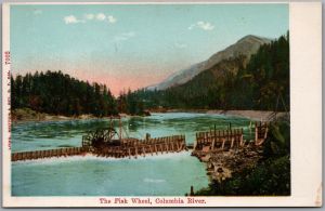 Postcard Columbia River Fish Wheel Scenic View Pacific North West PNW