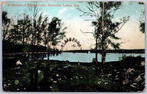 Postcard Kawartha Lakes Ontario 1908 A Glimpse of Pigeon Lake Scenic Split Rings