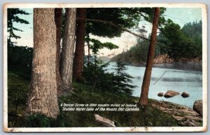 Postcard Lake of The Woods Ontario c1912 Studded Water Scenic View
