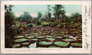 Postcard CDS Cancel c1904 Illecillewaet British Columbia Scarce (back)