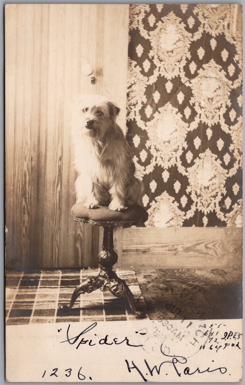 Image 1