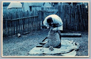 Postcard Plymouth Massachusetts c1986 Plimoth Plantation Sheepshearing 