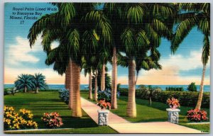 Postcard Miami Florida c1940s Royal Palm Lined Walk to Biscayne Bay Linen
