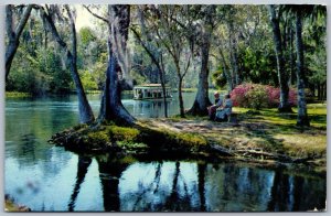 Postcard Silver Springs Florida c1954 Silver River Scenic View Slogan Cancel