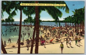 Postcard Coconut Grove Miami Florida c1940s Beach at Matheson Hammock Linen